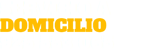 SERVICIO A DOMICILIO 925 553 065